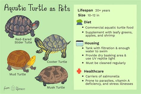  Question: ¿Qué te parece un Quiriofor para tu próxima mascota acuática?